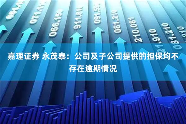 嘉理证券 永茂泰：公司及子公司提供的担保均不存在逾期情况