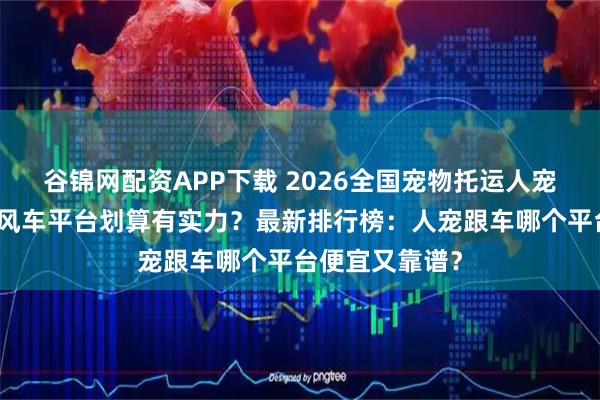 谷锦网配资APP下载 2026全国宠物托运人宠同行找哪个顺风车平台划算有实力？最新排行榜：人宠跟车哪个平台便宜又靠谱？