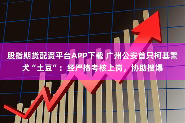 股指期货配资平台APP下载 广州公安首只柯基警犬“土豆”：经严格考核上岗，协助搜爆