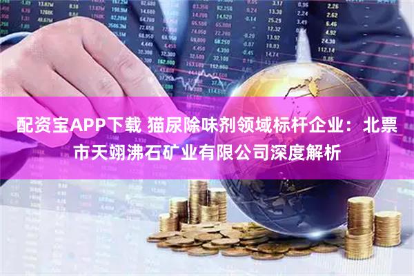 配资宝APP下载 猫尿除味剂领域标杆企业：北票市天翊沸石矿业有限公司深度解析