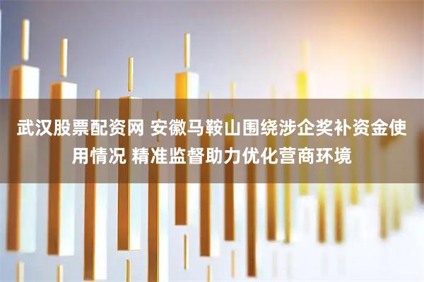 武汉股票配资网 安徽马鞍山围绕涉企奖补资金使用情况 精准监督助力优化营商环境