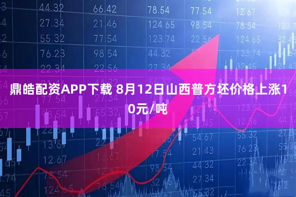 鼎皓配资APP下载 8月12日山西普方坯价格上涨10元/吨